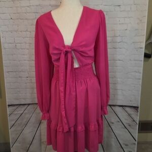 Chic Fuchsia Long Sleeve Dress